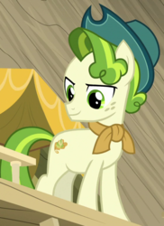 Size: 565x775 | Tagged: safe, screencap, pistachio, earth pony, pony, best gift ever, g4, >:), cropped, freckles, hat, male, smiling, smirk, solo, stallion