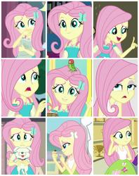 Size: 3159x3982 | Tagged: safe, edit, screencap, fluttershy, dog, ladybug, equestria girls, equestria girls series, equestria girls specials, fluttershy's butterflies, g4, mirror magic, my little pony equestria girls: rainbow rocks, outtakes (episode), stressed in show, stressed in show: fluttershy, clothes, collage, cute, geode of fauna, high res, magical geodes, shyabetes, sleeveless, tank top