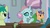 Size: 1920x1080 | Tagged: safe, screencap, fine catch, gallus, november rain, ocellus, sandbar, changedling, changeling, earth pony, griffon, pony, unicorn, a rockhoof and a hard place, g4, background pony, female, friendship student, male, solo focus, stallion, teenager