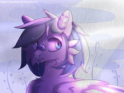 Size: 1280x960 | Tagged: safe, artist:topolok, oc, oc only, pegasus, pony, bandaid, bandaid on nose, bust, ear piercing, gritted teeth, male, piercing, portrait, rain, solo, stallion