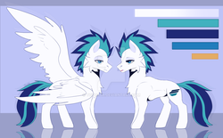 Size: 1280x795 | Tagged: safe, artist:topolok, oc, oc only, pegasus, pony, concave belly, lidded eyes, male, obtrusive watermark, reference sheet, solo, stallion, watermark