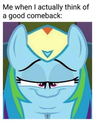 Size: 1080x1382 | Tagged: safe, edit, edited screencap, editor:apex soundwave, screencap, rainbow dash, pegasus, pony, g4, bust, caption, faic, female, image macro, mirror, not salmon, smug, solo, text, unitinu, wat