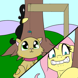 Size: 1280x1280 | Tagged: safe, artist:bennimarru, fluttershy, cat, pony, g4, cat toy, collar, excessive sweat, faic, feline, female, flat colors, fluttershy steals animals, hiding, lip bite, name tag, out of character, simple background, stalker, stalkershy, stalking, string, that pony sure does love animals, toy, under the tree
