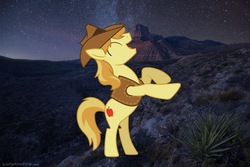 Size: 1200x801 | Tagged: safe, braeburn, earth pony, pony, g4, desert, irl, night, photo, ponies in real life