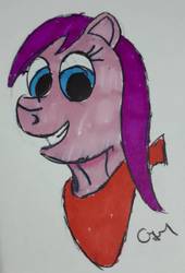 Size: 1068x1574 | Tagged: safe, artist:rapidsnap, oc, oc only, oc:trim, pony, solo, traditional art