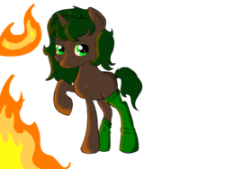 Size: 4600x3450 | Tagged: safe, artist:dumbwoofer, oc, oc only, oc:pine shine, pony, unicorn, clothes, female, fire, mare, socks, solo, this is fine