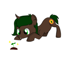 Size: 4600x3450 | Tagged: safe, artist:dumbwoofer, oc, oc only, oc:pine shine, pony, unicorn, female, filly, foal, plant, solo