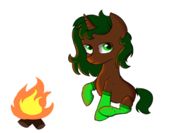 Size: 4600x3450 | Tagged: safe, artist:dumbwoofer, oc, oc only, oc:pine shine, pony, unicorn, campfire, clothes, female, mare, simple background, socks, solo, transparent background
