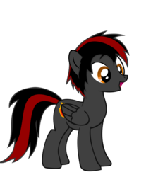 Size: 2224x2692 | Tagged: safe, artist:fallingcomets, oc, oc only, oc:midnight wember, pegasus, pony, high res, male, simple background, solo, stallion, transparent background