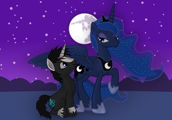 Size: 3763x2630 | Tagged: safe, artist:rosethecat, derpibooru exclusive, princess luna, oc, oc:finiarel, alicorn, pony, unicorn, g4, admiring, high res, looking at each other, mare in the moon, moon, night, sitting