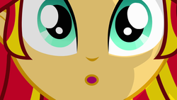 Size: 1920x1080 | Tagged: safe, screencap, sunset shimmer, equestria girls, g4, my little pony equestria girls, :o, close-up, female, open mouth, solo