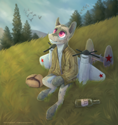 Size: 2277x2415 | Tagged: safe, artist:yarugreat, oc, oc only, oc:шип водкович, original species, plane pony, pony, alcohol, bottle, clothes, hat, high res, jacket, plane, solo, tu-2s-59, vodka