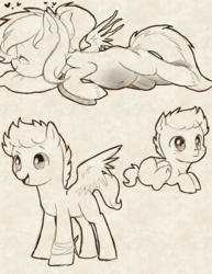 Size: 811x1049 | Tagged: safe, artist:hikariviny, oc, oc:brave heart, oc:braveheart night, oc:sweet lullaby, pegasus, pony, belly, belly button, colt, eyes closed, female, heart, lying down, male, mare, offspring, parent:oc:shady night, parent:oc:sweet lullaby, parents:oc x oc, pegasus oc, pillow, pregnant, scar, sketch, smiling