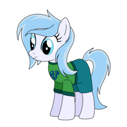 Size: 1000x1000 | Tagged: safe, artist:linedraweer, oc, oc only, oc:mother goose, earth pony, pony, clothes, female, mare, shirt, solo, vector