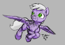 Size: 2331x1622 | Tagged: safe, artist:trefoiler, sweet pop, pegasus, pony, g4, cute, female, filly, flying, foal, gray background, simple background, sketch, solo