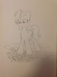 Size: 960x1280 | Tagged: safe, artist:ravistdash, oc, oc:laza, pony, unicorn, building, city, crush fetish, crushing, destruction, fetish, macro, ocean, pencil drawing, river, sketch, traditional art