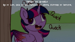 Size: 1280x720 | Tagged: safe, artist:evehly, twilight sparkle, alicorn, duck pony, pony, g4, animated, behaving like a duck, chest fluff, cute, faic, female, lake, op is a duck (reaction image), quack, sound, tree, twiabetes, twilight duckle, twilight sparkle (alicorn), webm