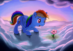 Size: 1920x1358 | Tagged: safe, artist:shaliwolf, rainbow dash, pony, g4, amazed, cloud, female, flower, solo, sunset
