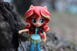 Size: 6000x4000 | Tagged: safe, artist:artofmagicpoland, sunset shimmer, equestria girls, g4, doll, equestria girls minis, female, irl, photo, toy, tree