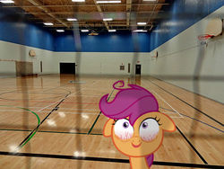 Size: 500x375 | Tagged: safe, artist:anthony60617, scootaloo, pony, g4, sleepless in ponyville, basketball net, bloodshot eyes, creepy face, floppy ears, gym, irl, photo, ponies in real life, school, solo