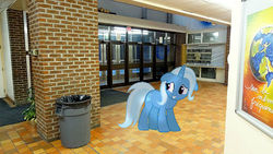 Size: 500x281 | Tagged: safe, artist:anthony60617, trixie, pony, unicorn, g4, indoors, interior, irl, montreal, photo, ponies in real life, school, trash can, école secondaire anjou