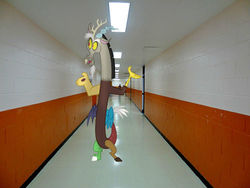 Size: 500x375 | Tagged: safe, artist:anthony60617, discord, pony, g4, draconequus in real life, hallway, irl, photo, ponies in real life, school