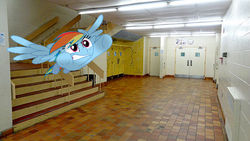 Size: 500x281 | Tagged: safe, artist:anthony60617, rainbow dash, pegasus, pony, g4, angry, doors, flying, irl, photo, ponies in real life, school, staircase