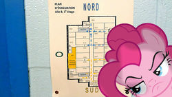 Size: 500x281 | Tagged: safe, artist:anthony60617, pinkie pie, earth pony, pony, g4, grumpy pinkie pie, irl, map, montreal, photo, ponies in real life, school, école secondaire anjou