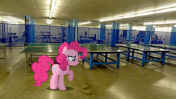 Size: 500x281 | Tagged: safe, artist:anthony60617, pinkie pie, earth pony, pony, g4, ceiling light, cutie mark, fitness room, indoors, irl, photo, ping pong table, school, smiling