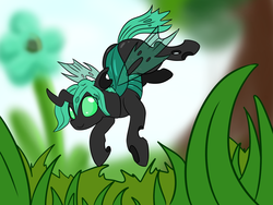 Size: 1200x900 | Tagged: safe, artist:dudey64, oc, oc only, oc:speculo, changeling, green changeling, solo