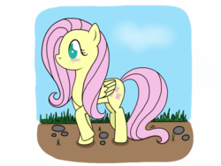 Size: 1024x768 | Tagged: safe, artist:vampteen83, fluttershy, pony, g4, female, solo