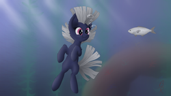 Size: 2560x1440 | Tagged: safe, artist:bloody-roger, oc, oc only, oc:sealed seal, earth pony, fish, pony, bubble, coral, crepuscular rays, female, fins, fish tail, flowing mane, flowing tail, holding breath, mare, ocean, scales, seaweed, solo, sunlight, swimming, tail, underwater, water