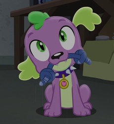 Size: 530x577 | Tagged: safe, screencap, spike, spike the regular dog, dog, equestria girls, g4, my little pony equestria girls: friendship games, collar, cropped, male, paws, solo