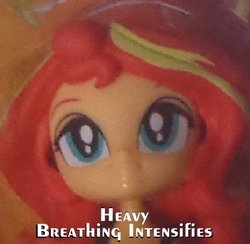 Size: 501x488 | Tagged: safe, screencap, sunset shimmer, equestria girls, g4, doll, equestria girls minis, face, female, heavy breathing, irl, photo, toy