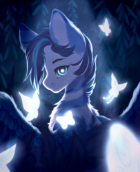 Size: 1288x1589 | Tagged: safe, artist:dustyonyx, oc, oc only, butterfly, pegasus, pony, big ears, blue, ear fluff, looking at you, looking back, looking back at you, male, monochrome, solo, stallion