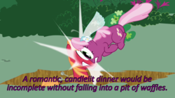 Size: 640x360 | Tagged: safe, edit, edited screencap, screencap, big macintosh, cheerilee, pony, g4, hearts and hooves day (episode), caption, cards against humanity, collision, image macro, text, wedding veil