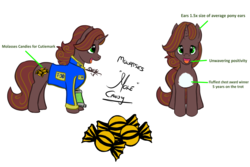 Size: 1800x1200 | Tagged: safe, artist:duskhoof, derpibooru exclusive, oc, oc only, oc:molasses candy, oc:mole, pony, fallout equestria, fallout equestria: scoundrels, reference sheet, solo, stable tec