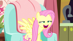 Size: 1920x1080 | Tagged: safe, artist:dwk, screencap, fluttershy, pegasus, pony, totally legit recap, discordant harmony, g4, chair, faic, female, hurr durr, mare, mid-blink screencap, sitting, smiling, solo, wtf