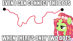 Size: 1920x1080 | Tagged: safe, artist:dwk, edit, edited screencap, screencap, tree hugger, earth pony, pony, totally legit recap, g4, caption, connect the dots, female, floral head wreath, flower, image macro, impact font, mare, solo, text