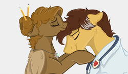 Size: 1024x596 | Tagged: safe, artist:rutkotka, oc, oc only, oc:feather paw, oc:help hoof, earth pony, pegasus, pony, clothes, female, heart, hug, husband and wife, male, mare, ponysona, stallion, stethoscope