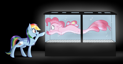 Size: 1280x676 | Tagged: safe, artist:dippin-dott, pinkie pie, rainbow dash, earth pony, pegasus, pony, seapony (g4), g4, alternate universe, bubble, chest fluff, dark background, dorsal fin, duo, female, fin, fins, fish tail, fish tank, flowing mane, flowing tail, looking at each other, mare, seaponified, seapony pinkie pie, signature, species swap, swimming, tail, underwater, water