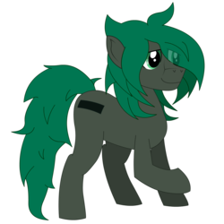 Size: 1600x1600 | Tagged: safe, artist:minus, derpibooru exclusive, oc, oc only, oc:minus, earth pony, pony, 2019 community collab, derpibooru community collaboration, cutie mark, eye clipping through hair, green eyes, hair over one eye, lidded eyes, male, shy, side view, simple background, solo, standing, transparent background, vector