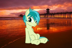 Size: 1024x683 | Tagged: safe, artist:cozmo312bb, sandbar, earth pony, pony, g4, beach at sunset, cute, irl, male, photo, ponies in real life, sandabetes, smiling, teenager