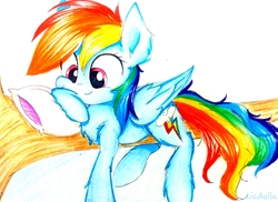 Size: 2417x1764 | Tagged: safe, artist:liaaqila, rainbow dash, pegasus, pony, g4, cute, dashabetes, ear fluff, female, fluffy, mare, pillow, simple background, solo, traditional art, tree, tree branch, white background