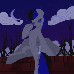 Size: 1280x1280 | Tagged: safe, artist:hoverrover, oc, oc only, oc:knight smile, pegasus, pony, cloud, glasses, hooves, lineless, male, night, night sky, sitting, sky, solo, stallion, stars, wings