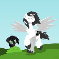 Size: 1280x1280 | Tagged: safe, artist:hoverrover, oc, oc:hoverrover, pegasus, pony, unicorn, colored hooves, eyes closed, hooves, horn, lineless, male, spread wings, stallion, wings