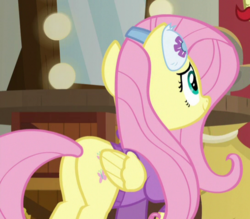 Size: 545x478 | Tagged: safe, screencap, fluttershy, pony, g4, my little pony best gift ever, butt, cropped, plot