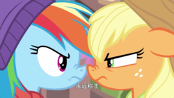Size: 1920x1080 | Tagged: safe, screencap, applejack, rainbow dash, earth pony, pegasus, pony, best gift ever, g4, hearth's warming shorts, triple pony dare ya, angry, boop, chinese, close-up, clothes, duo, female, freckles, hat, looking at each other, mare, nose to nose, nose wrinkle, noseboop, rivalry, scarf, winter outfit