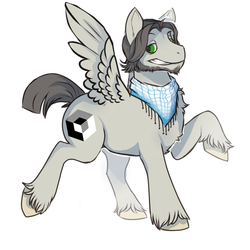 Size: 1000x1000 | Tagged: safe, artist:starloo, oc, pegasus, pony