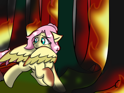 Size: 1600x1200 | Tagged: safe, artist:jolliapplegirl, fluttershy, pegasus, pony, g4, everfree forest, female, fire, forest, forest fire, mare, solo